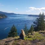 Take a hike (or Walk)