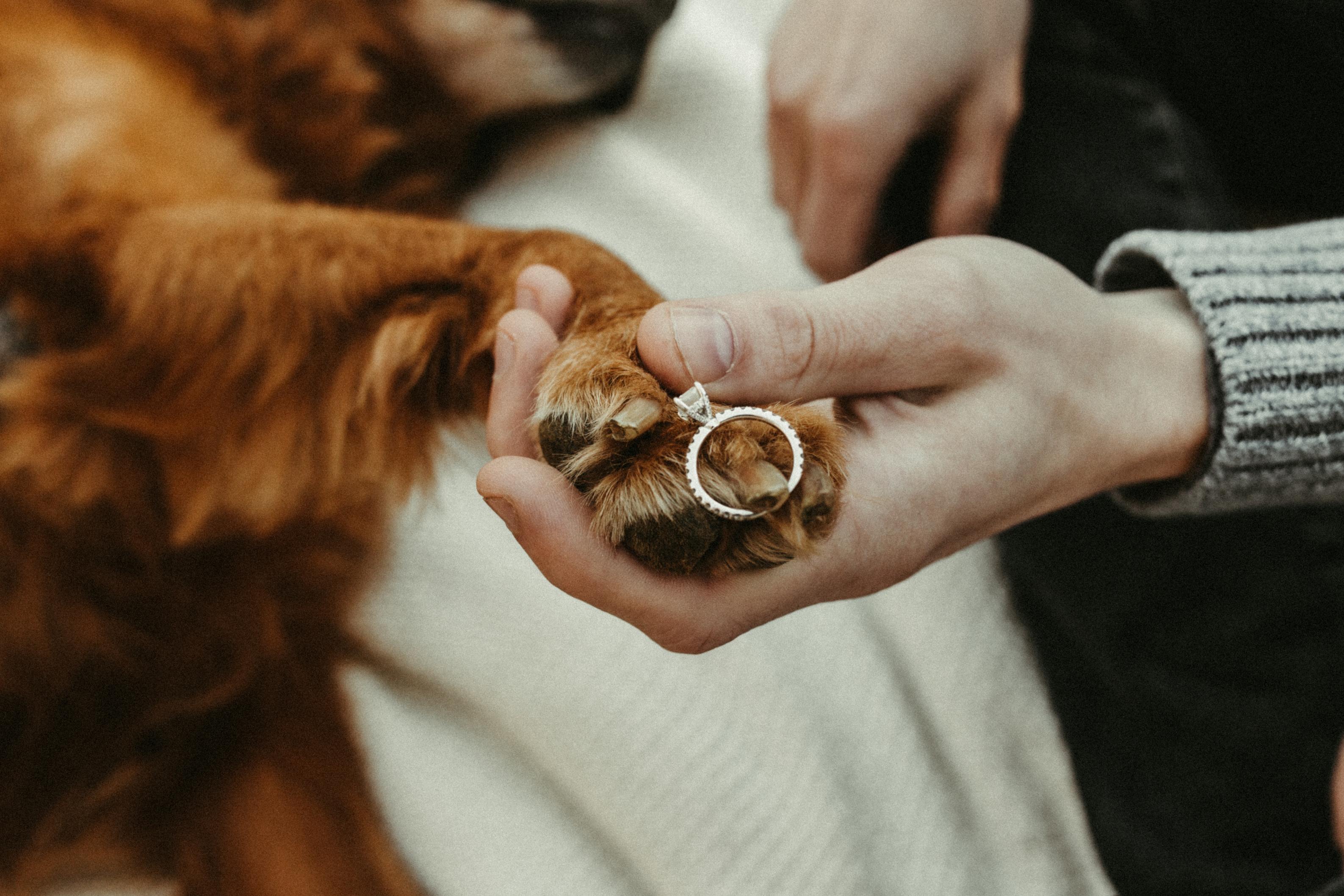 The Wedding Website of Kimber Guinn and Connor Newton