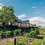 Bully Hill Vineyards