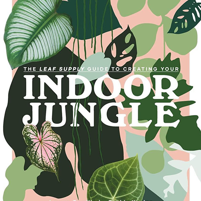 Indoor Jungle