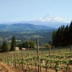 Cathedral Ridge Winery