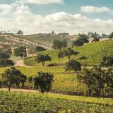 Paso Robles