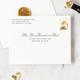 pdp_back_envelope
