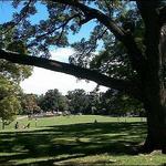 Fort Greene Park