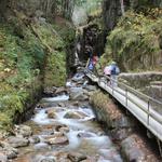 Flume Gorge