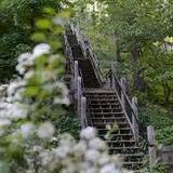 Mount Baldhead Park