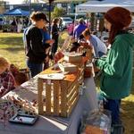 Jasper Farmer’s Market