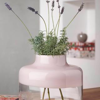Wide Magnolia Vase