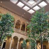 The Nelson-Atkins Museum of Art