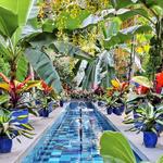 United States Botanic Garden