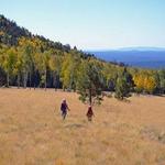 Arizona Snowbowl