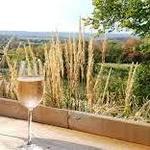 The Roost Wine Company