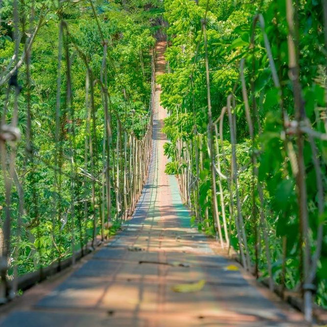 Honeymoon Experience - Mayan Eden Eco Park