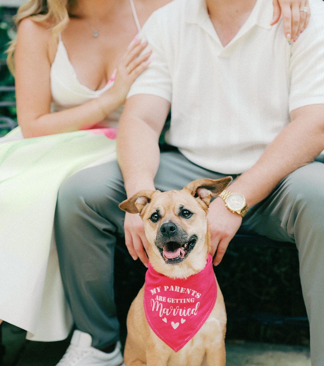 The Wedding Website of Katie Kalinowski and Jordan Williams