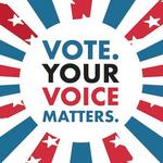 Vote on November 3, 2020