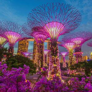 Gardens by the Bay Night Show