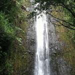 Manoa Falls