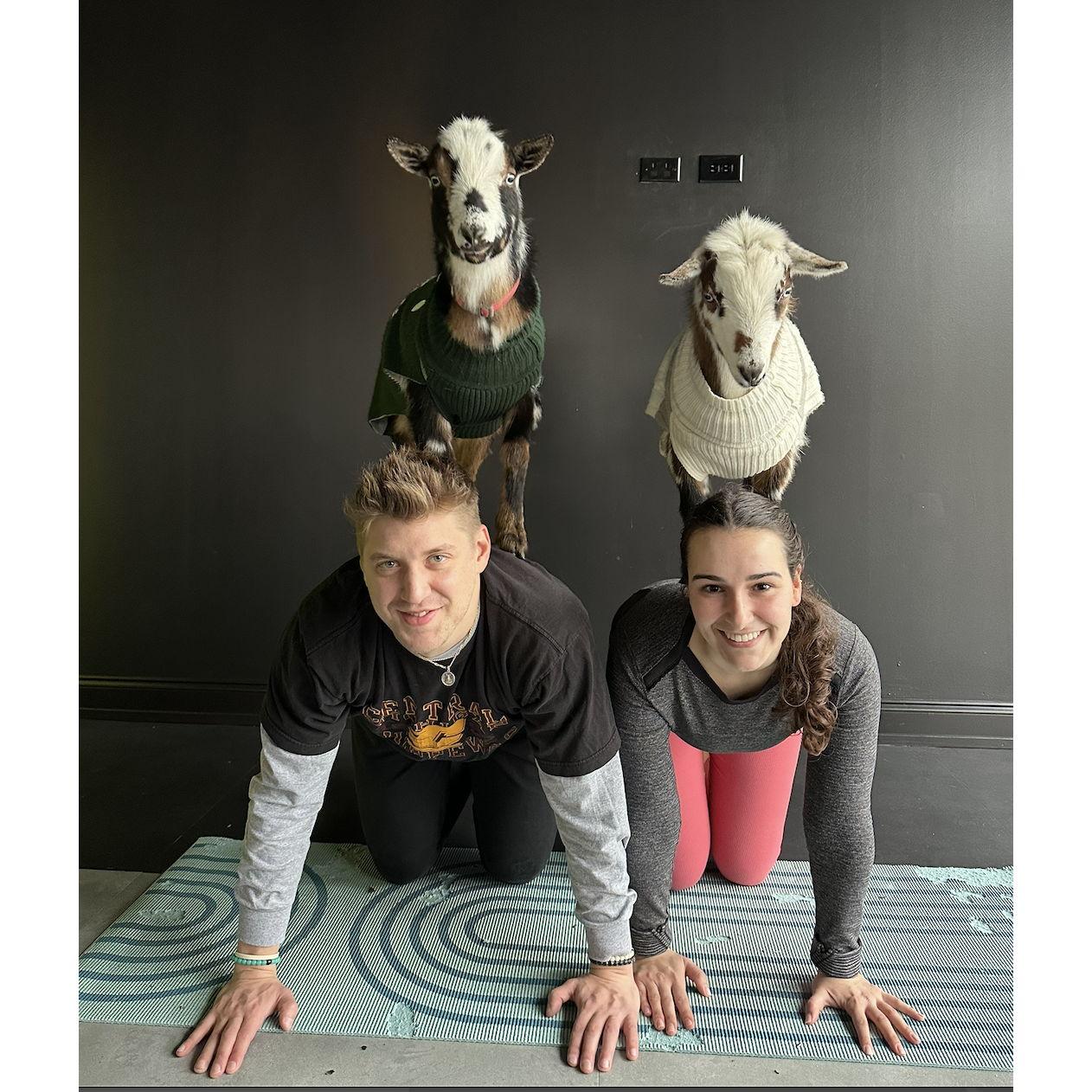 Halie and Michael both love animals and to exercise, so another favorite date was goat yoga!