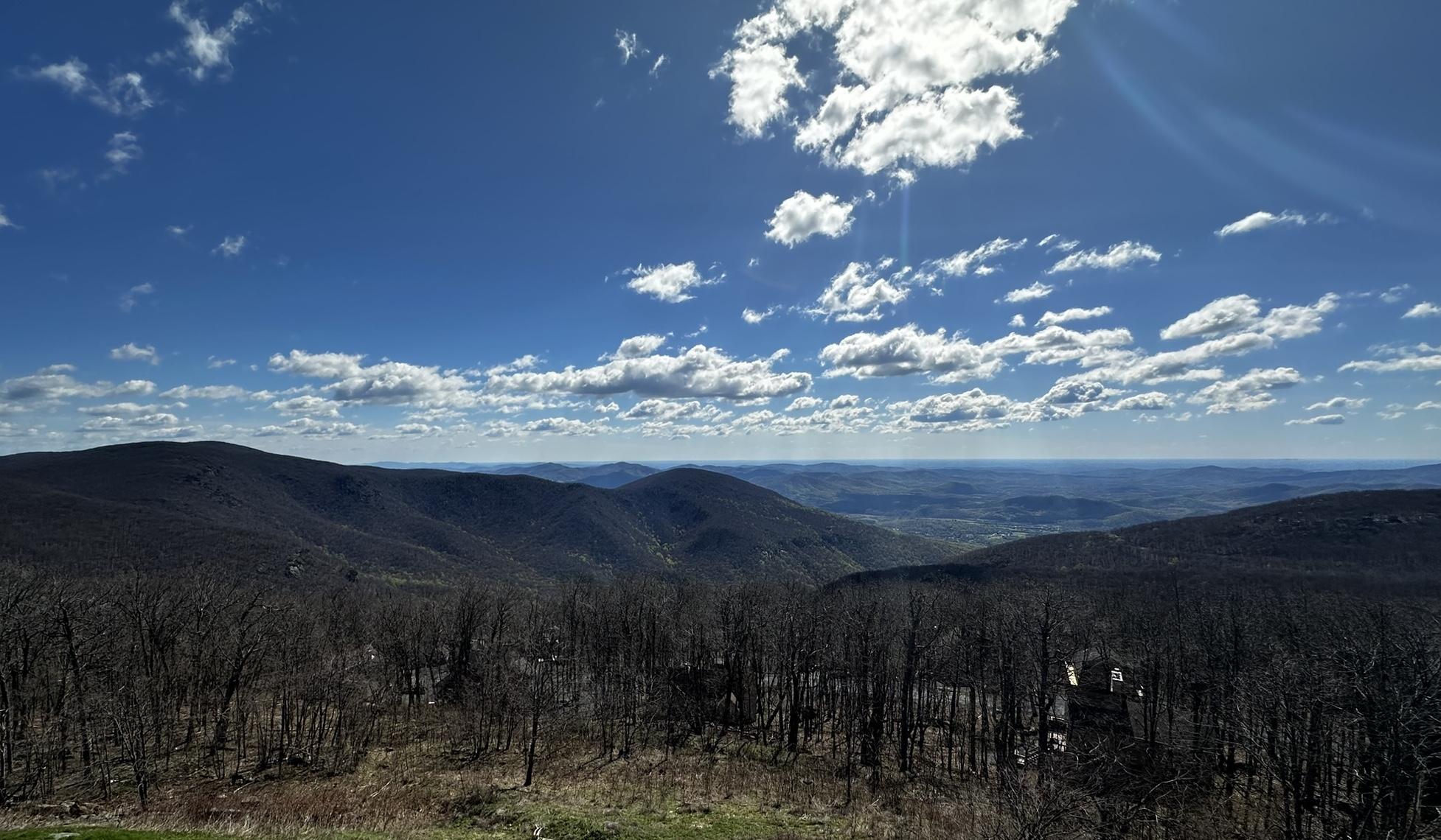 The Wedding Website of Kevin Livernoche and Sarah Henderson