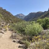Sabino Canyon