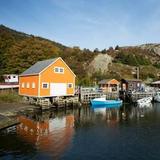 Quidi Vidi