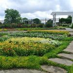 Gage Park