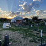 Milk and Honey Farms at the Boulder JCC