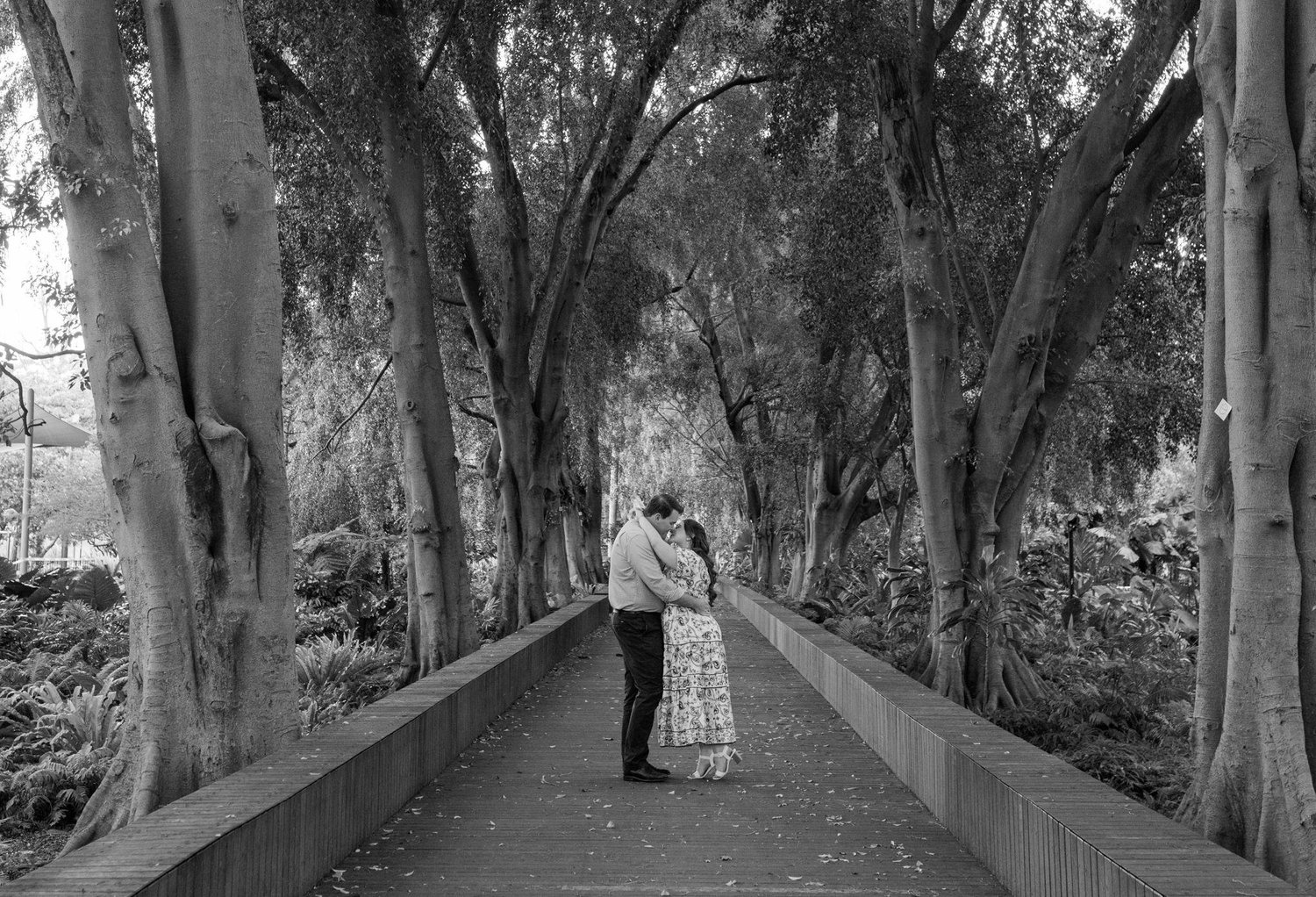 The Wedding Website of Bettina Amarandos and Nicholas Rider