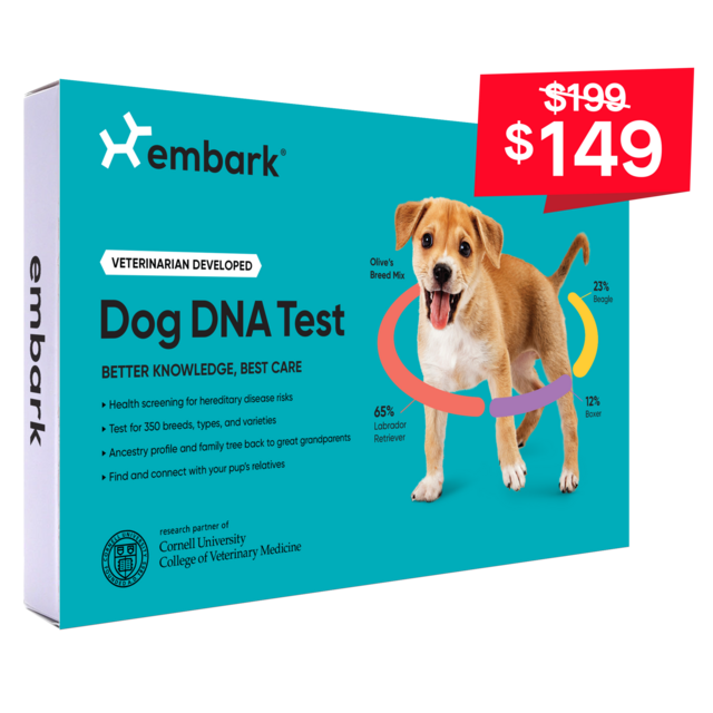 Embark Breed + Health Kit