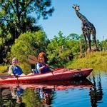 Brevard Zoo
