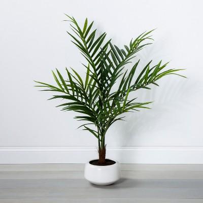 45" x 30" Artificial Palm In Pot Green/White - Opalhouse™