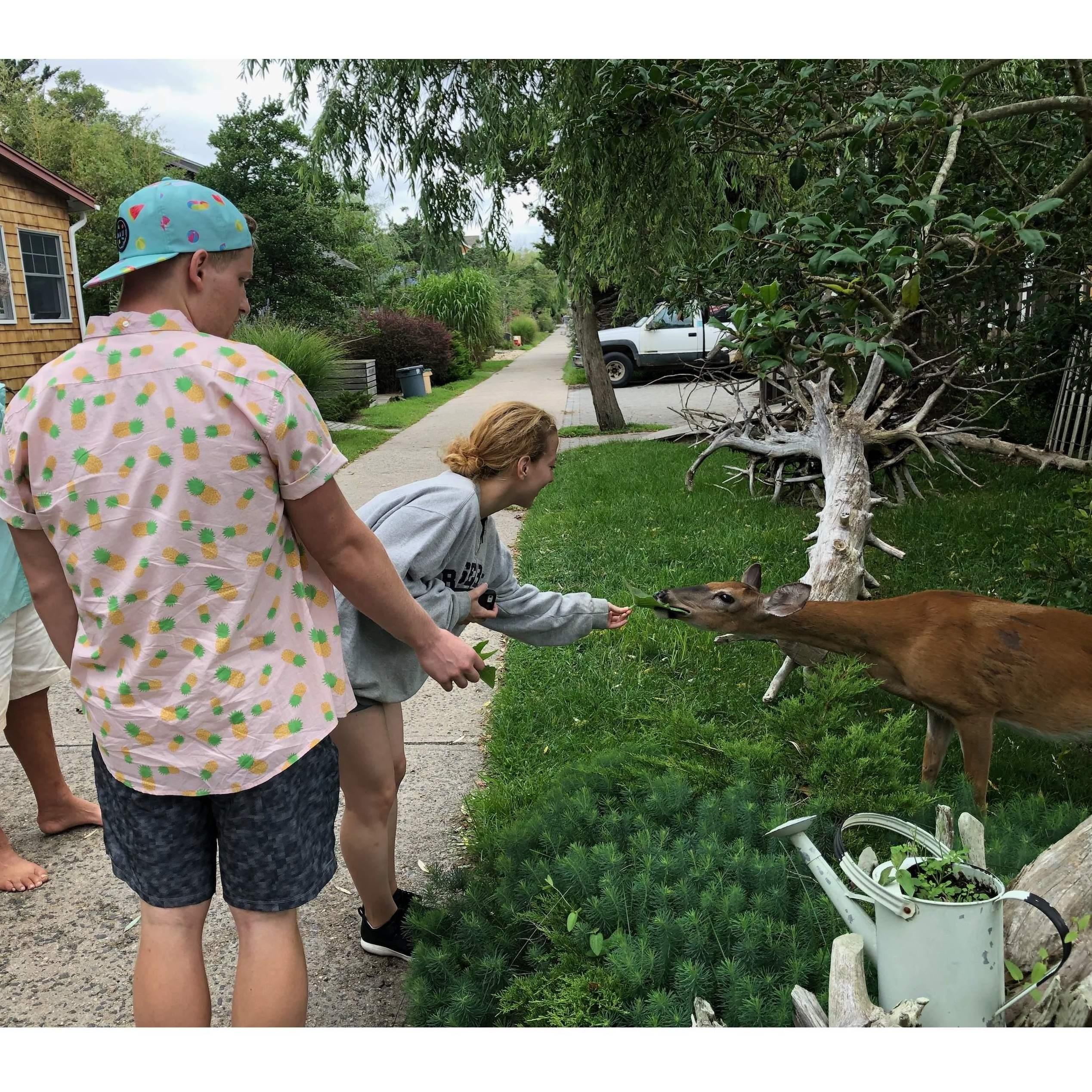 Fire Island, 2018