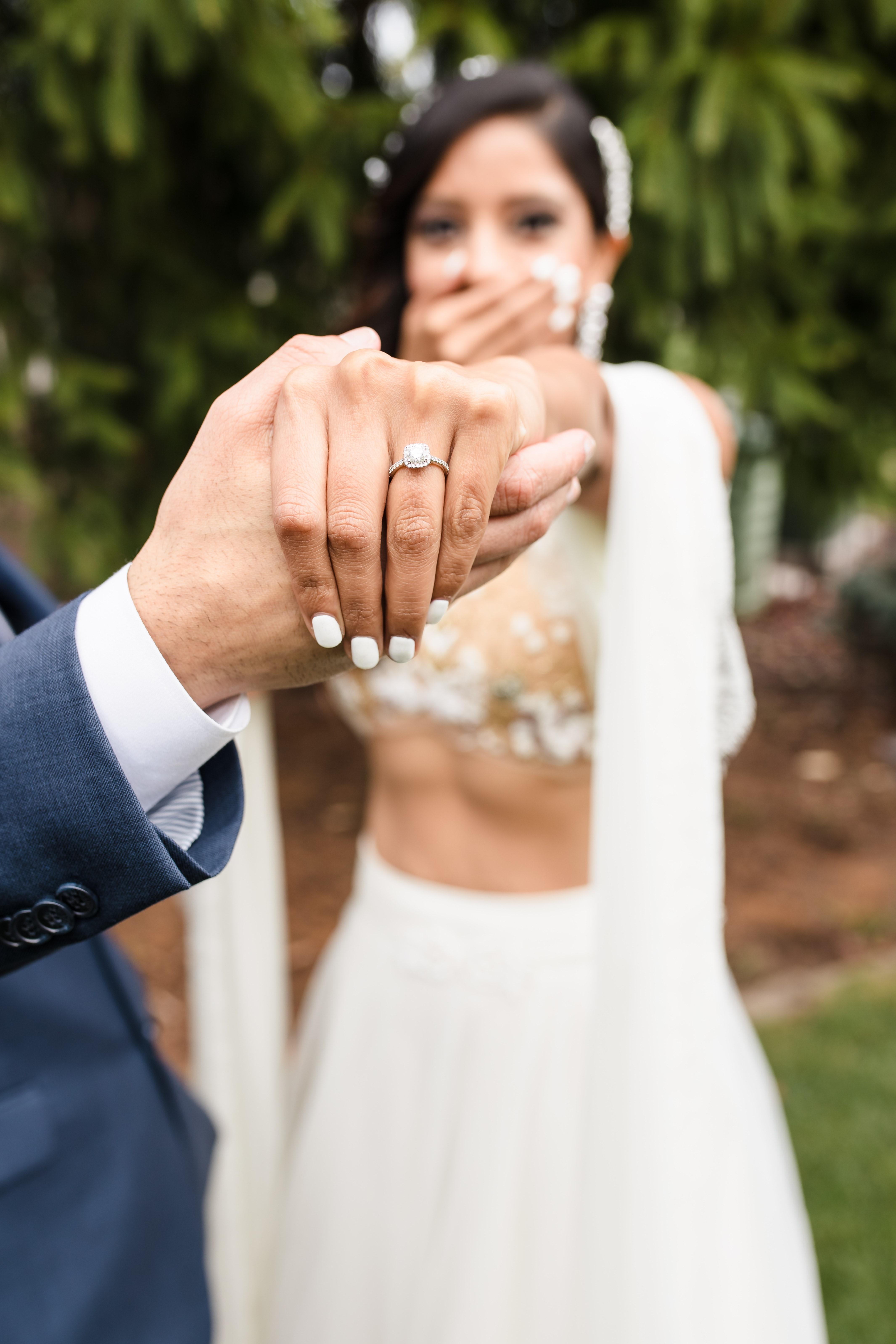 The Wedding Website of Vibhuti Negi and Dhruv Sethi