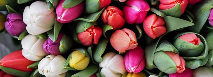 The Wedding Website of Moriah Barrett and Scott Simons