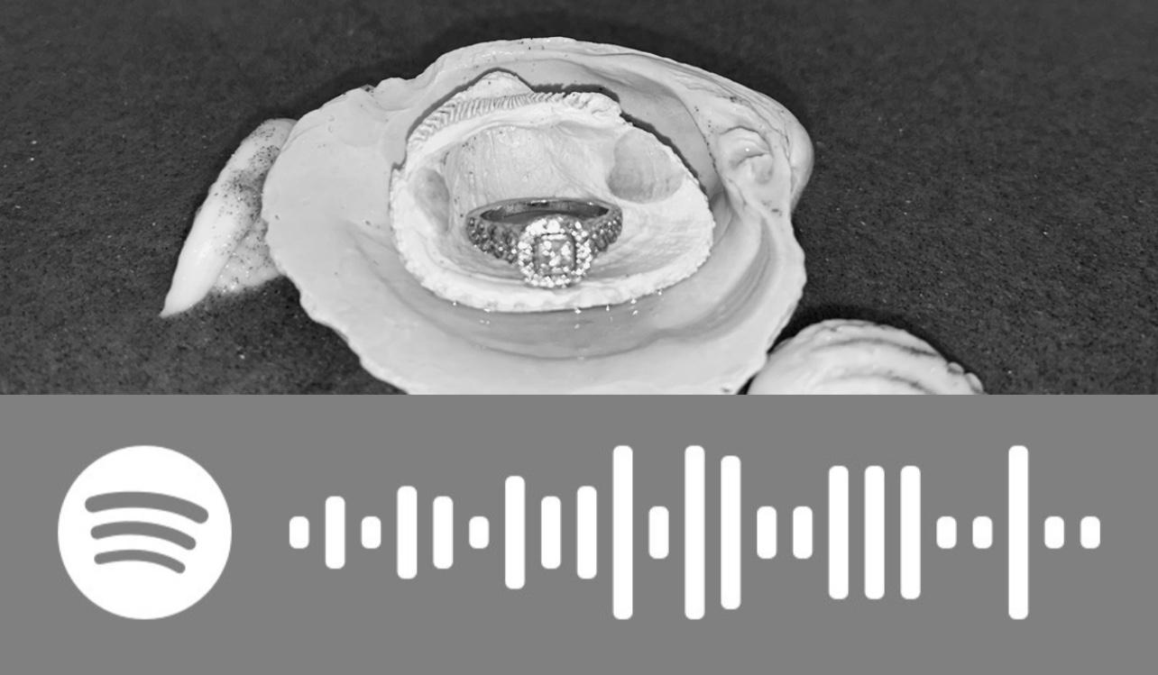 The Wedding Website of Cassandra Medellin and Kasim Amar