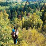 Highlands Aerial Park