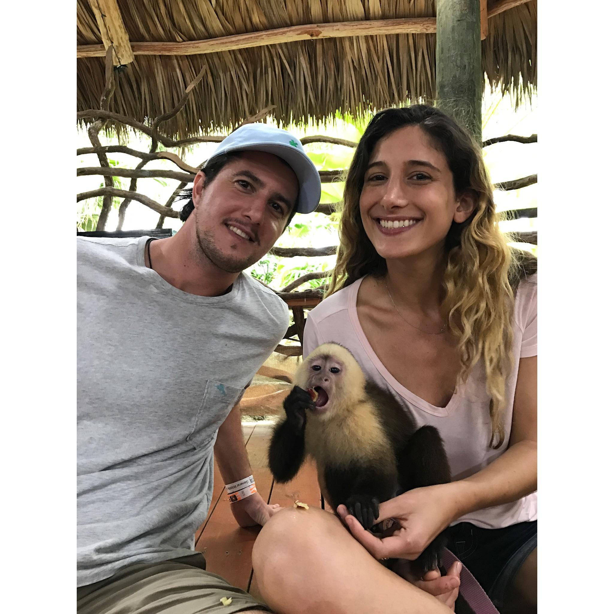 Monkeying around