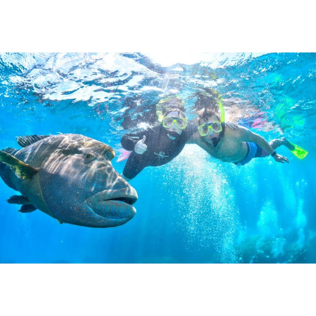 Great Barrier Reef!