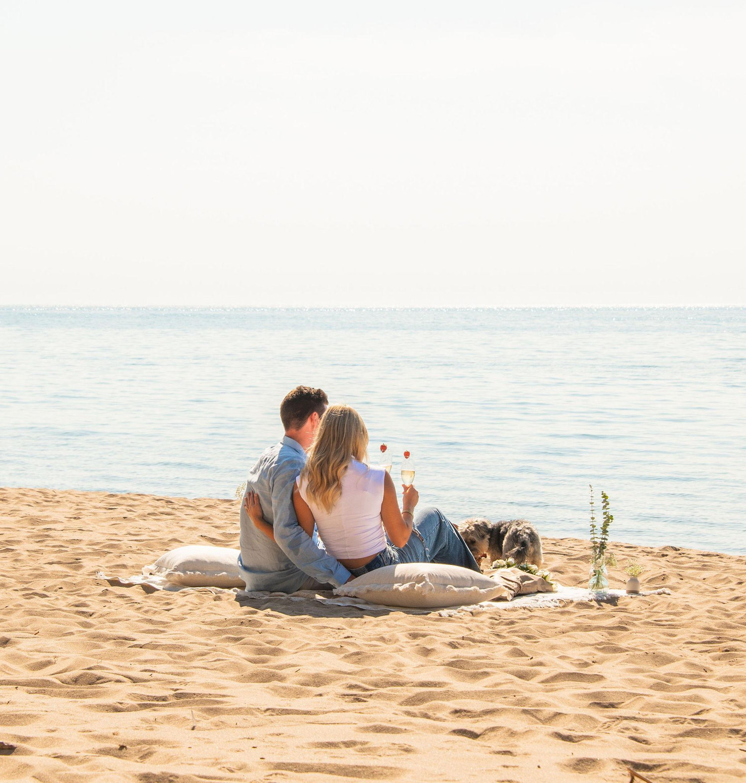 The Wedding Website of Taylor Elshaw and Paul Thanel