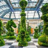 Bellagio Conservatory & Botanical Gardens