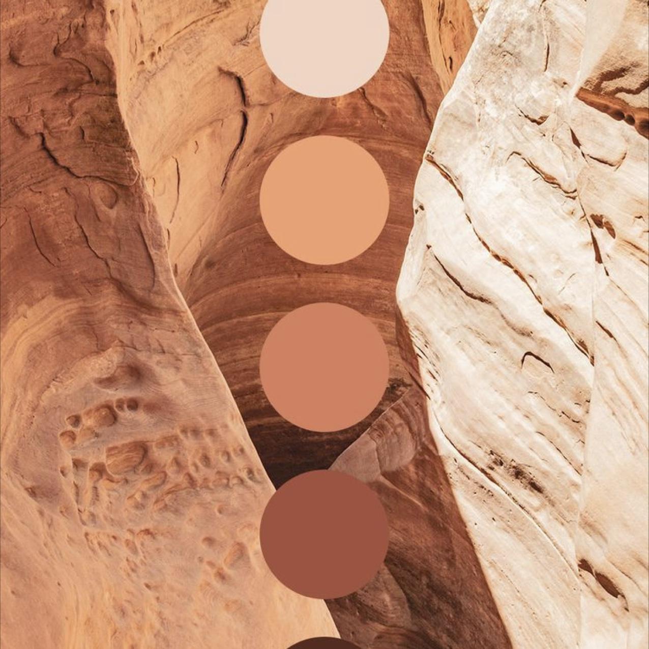 Guest Color Palette
