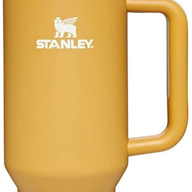 Stanley Quencher H2.0 FlowState Stainless Steel Vacuum Insulated Tumbler with Lid and Straw for Water, Iced Tea or Coffee, Smoothie and More 40oz - New Version
