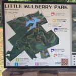 Little Mulberry Park