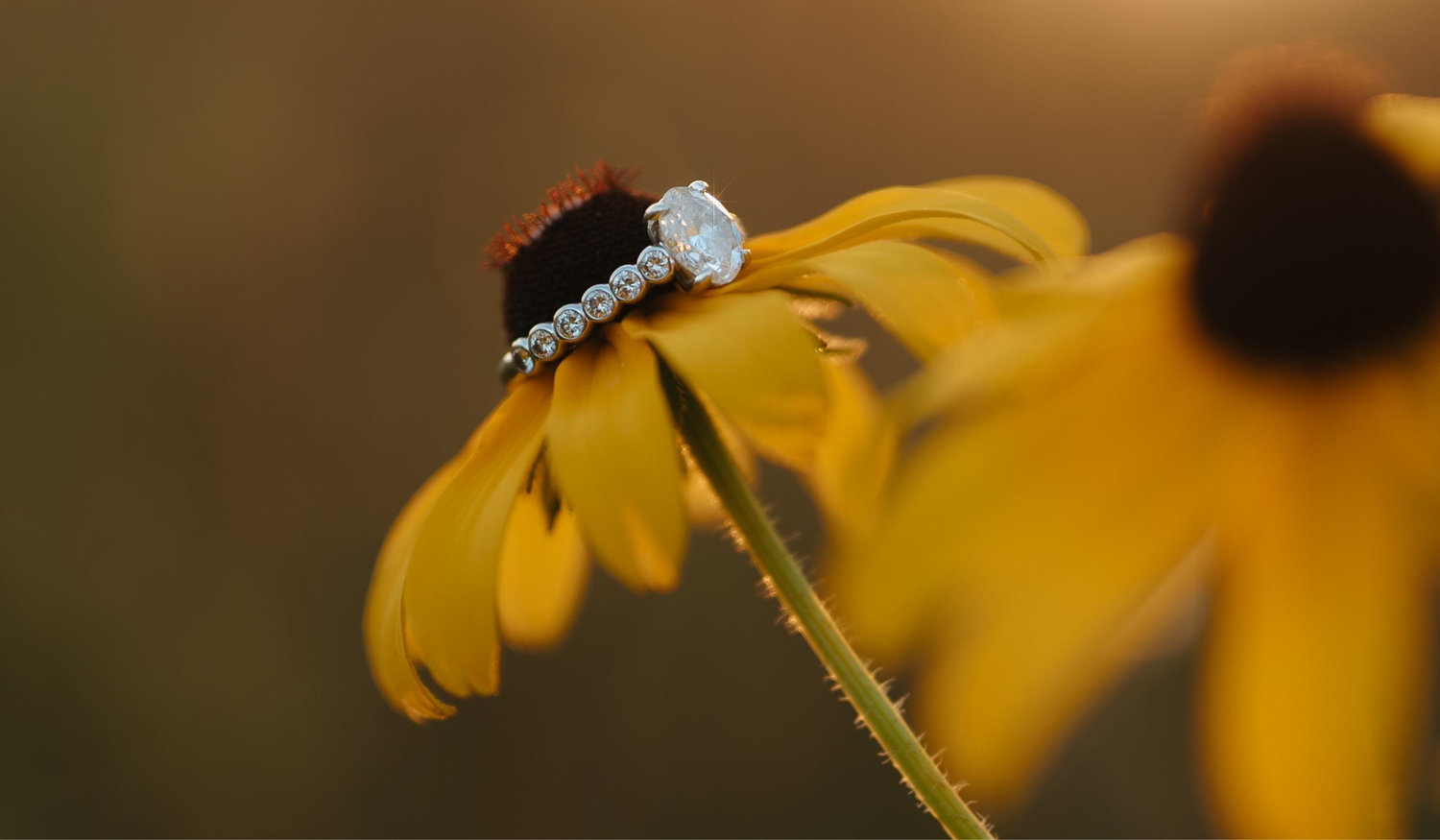 The Wedding Website of Katrina Thibodeau and Tyler Danley