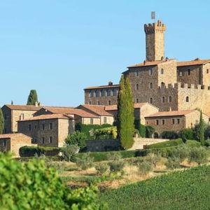 Private Wine Tasting at Castle Wineries in Chianti Experience
