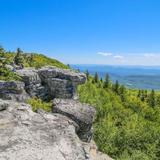 Dolly Sods Wilderness