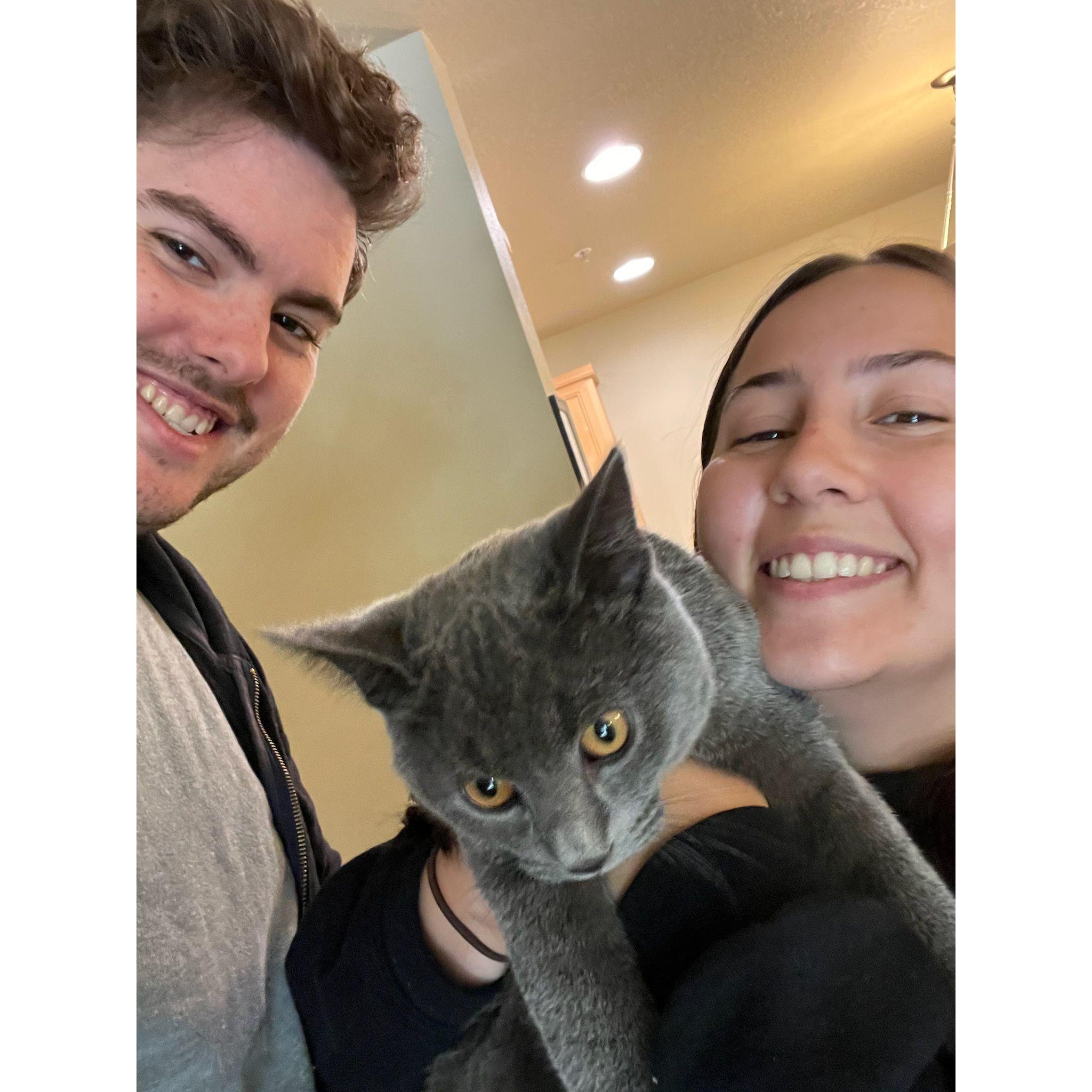 Milo the cat. (groomsman, Nick Alfonso's, son)