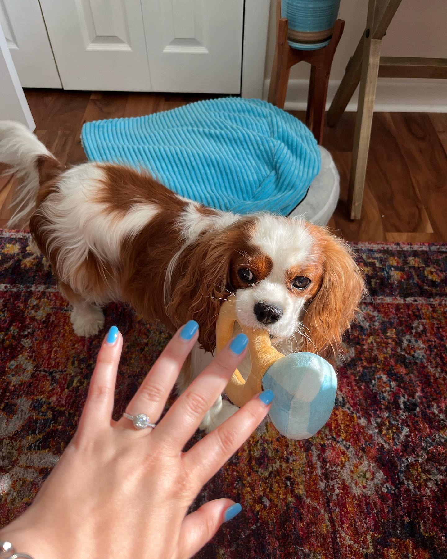 Morning of the proposal