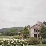 Pippin Hill Farm & Vineyards