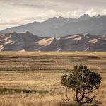 Great Sand Dunes National Park and Preserve